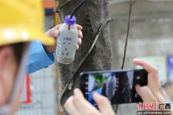 住户为防止雨天插座漏电而套上的塑料瓶中积水明显,存在漏电隐患。谢耘 摄 住户为防止雨天插座漏电而套上的塑料瓶中积水明显,存在漏电隐患。谢耘 摄